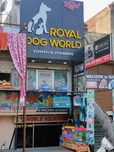 RDW (Royal Dog World)