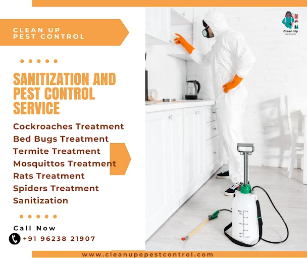 Clean Up Pest Control