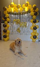 Riyopaws Pet Care