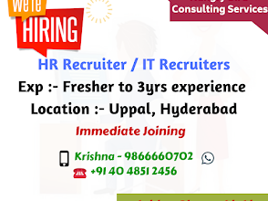 Hungry Bird Consulting Services Pvt Ltd