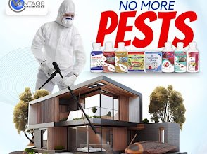 Star Pest Control Services