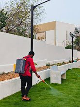 My Mark Pest Control Services