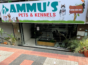 Ammu's Pets & Kennels