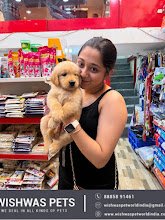 Wishwas Pet World India