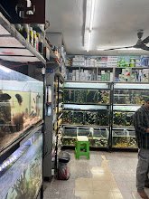The Fish World Aquariums And Pets