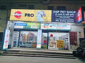 Dsp Pet Shop