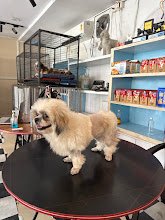 Yes Paws Pet Spa