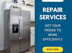 Expert Services