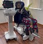 Jk Physio & Rehab Clinic