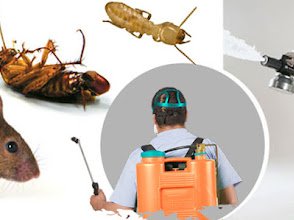 Core Pest Control Service
