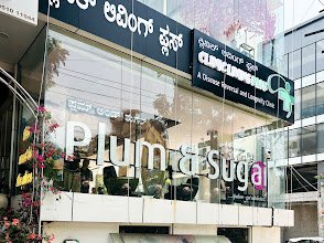 Plum & Sugar Salon